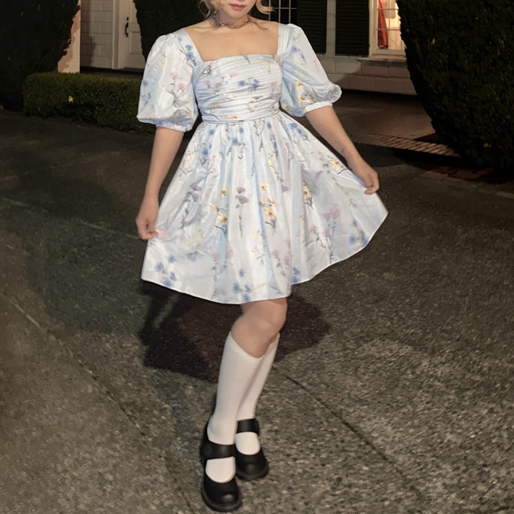 self portrait blue floral print princess dress